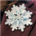 Snowflake Brooch
