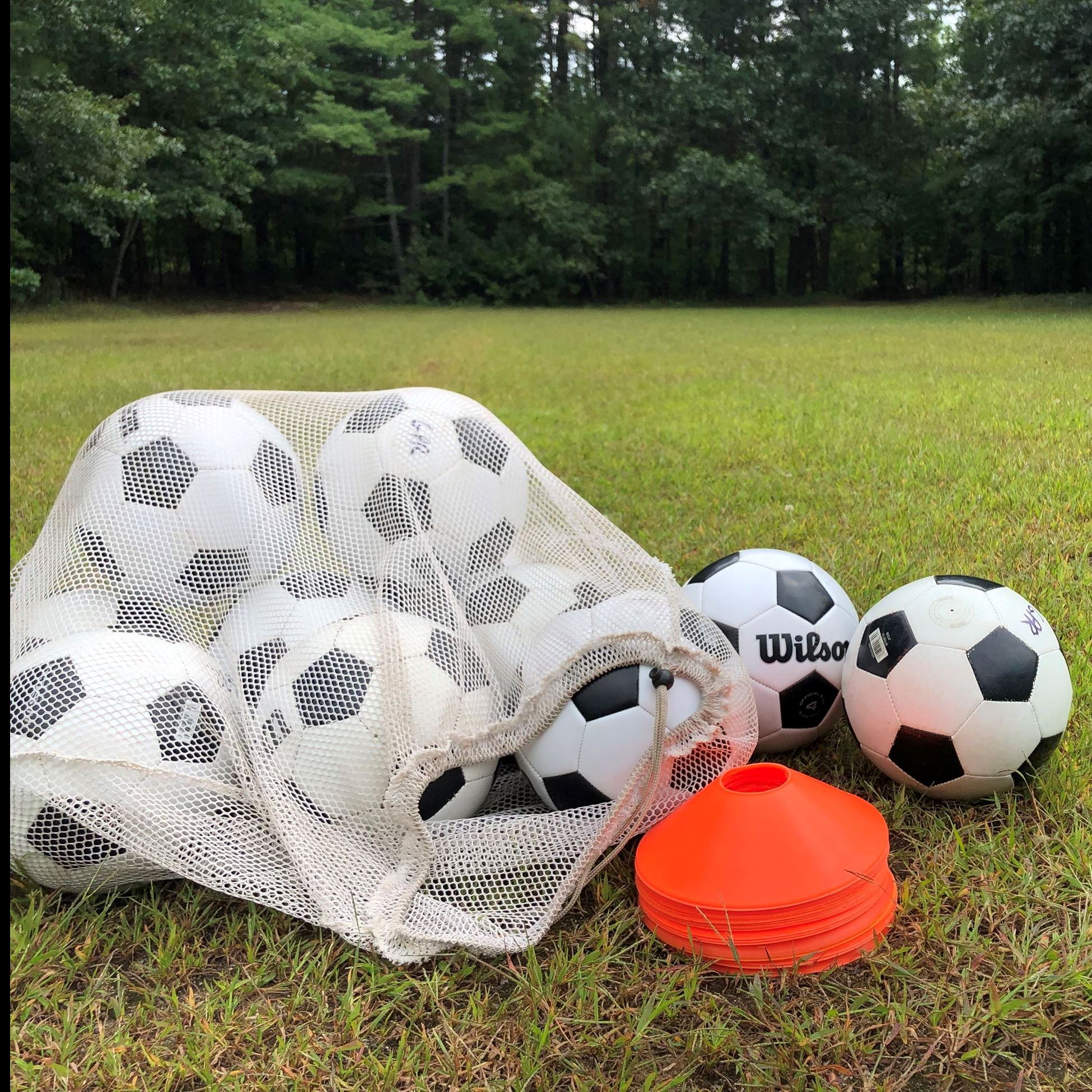 soccer balls in a bag with orange cones