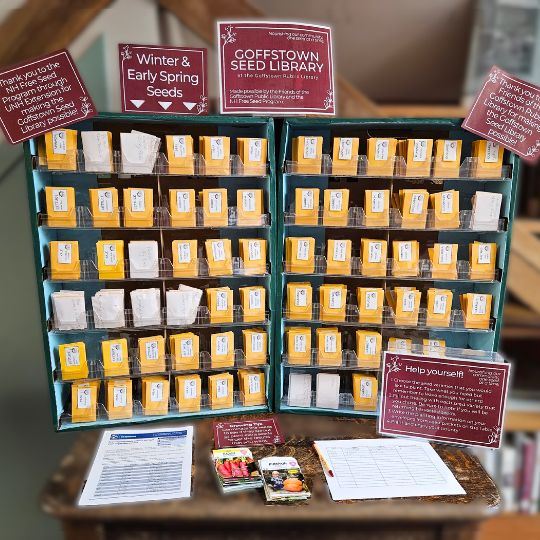 Tabletop display of rows of manila seed packets.