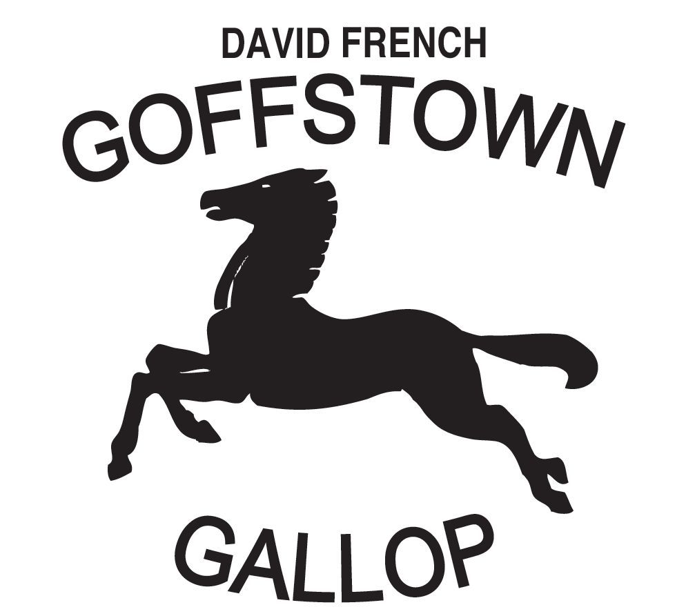 gallop logo