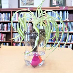 Recycled Self-Watering Plant Pots