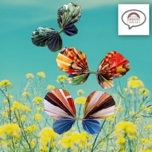 Two Butterfly Crafts